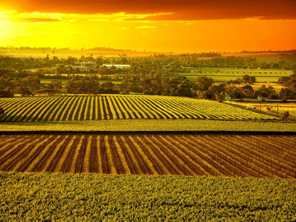 Barossa Valley