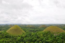 Chocolate hills - Bohol