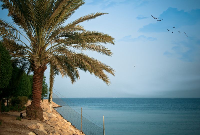 Dammam And East Coast