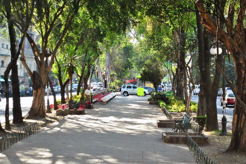 Obregon