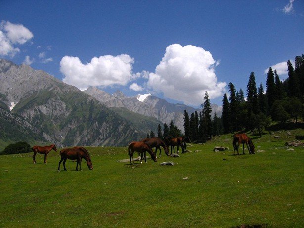 Pahalgam