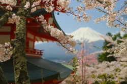 Japan Tour - 6 Nights/ 7 Days (Private)
