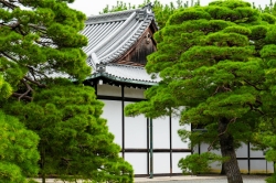 Japan Tour - 6 Nights/ 7 Days (economy)