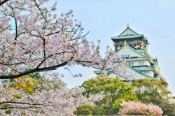 Japan Tour - 9 Nights/ 10 Days (economy)